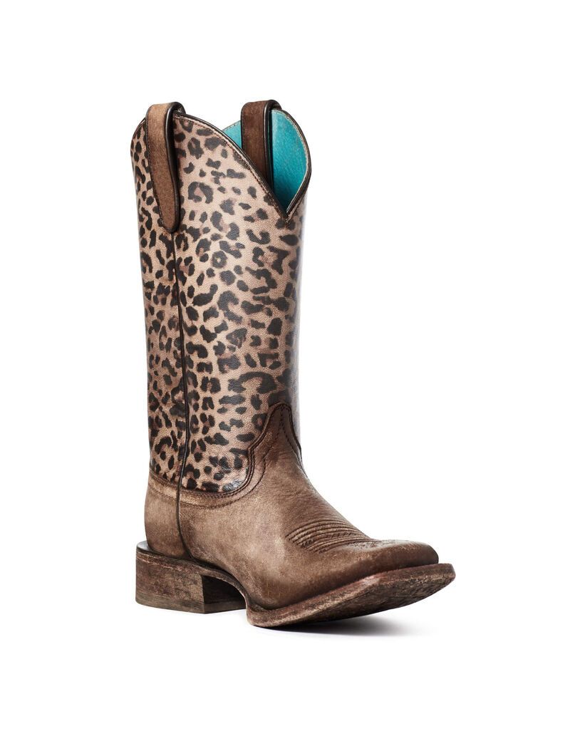 Botas Occidentales Ariat Circuit Savanna Marrom | PUW284317