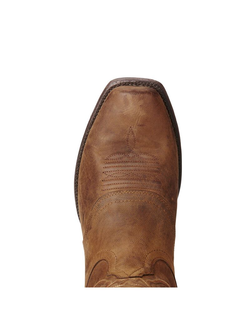 Botas Occidentales Ariat Circuit Striker Marrom | YWB358290