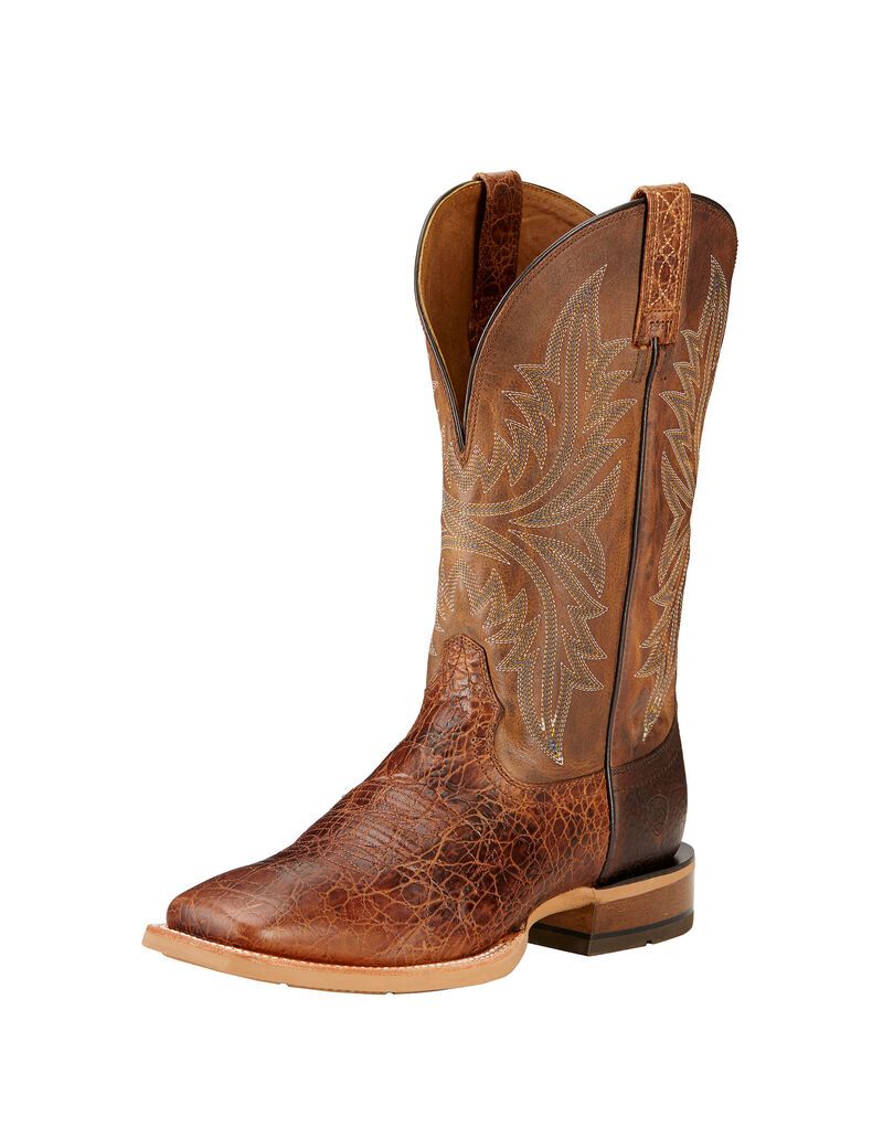 Botas Occidentales Ariat Cowhand Multicolor | ZIH345921