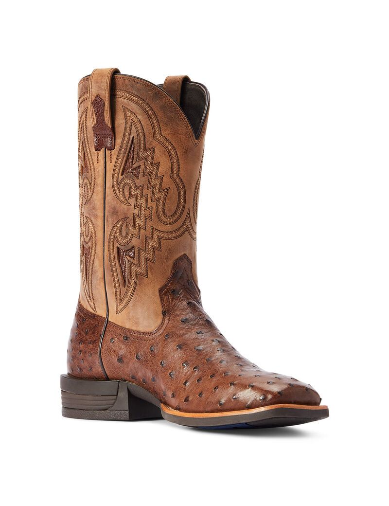 Botas Occidentales Ariat Dagger Multicolor | OEY950248