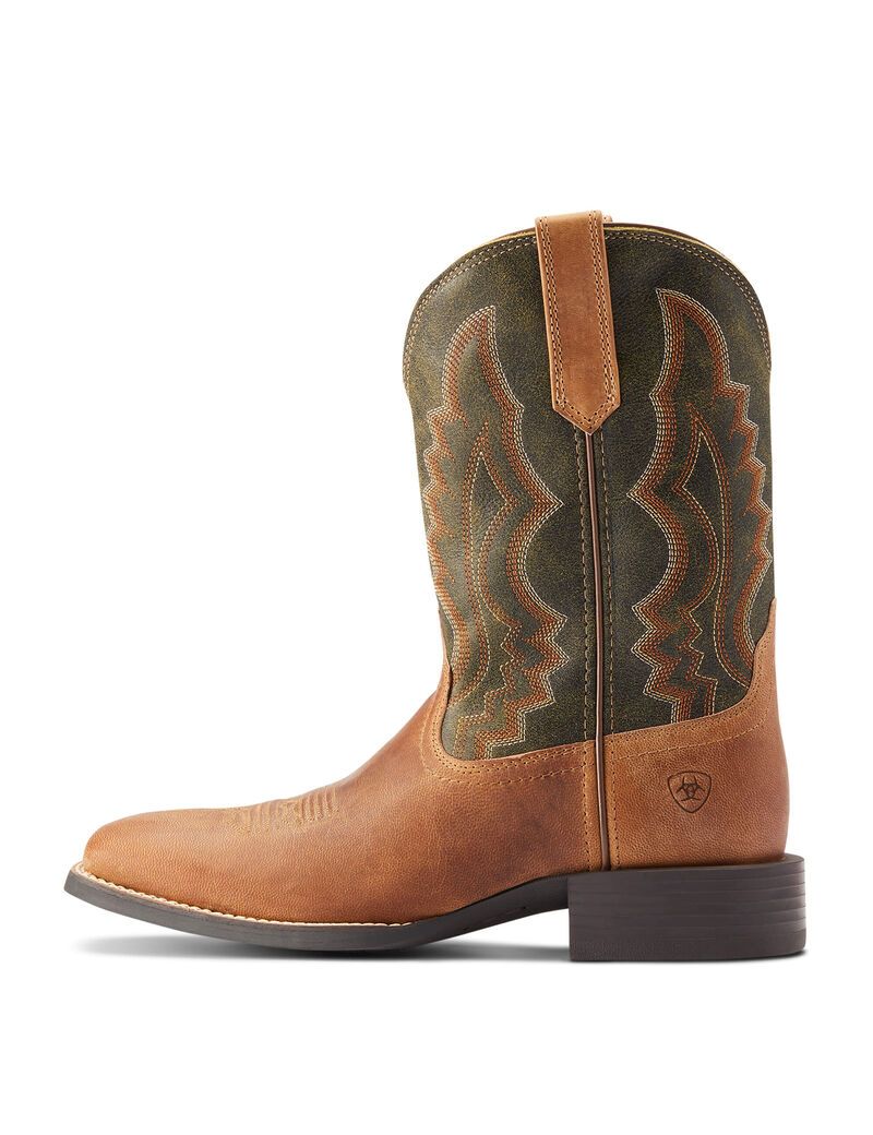 Botas Occidentales Ariat Deporte Riggin Marrom | CLG584691