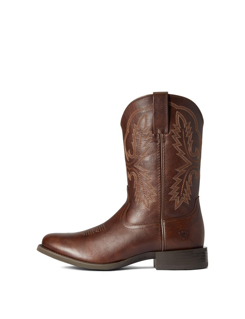 Botas Occidentales Ariat Deporte Stratten Marrom | AZT758319