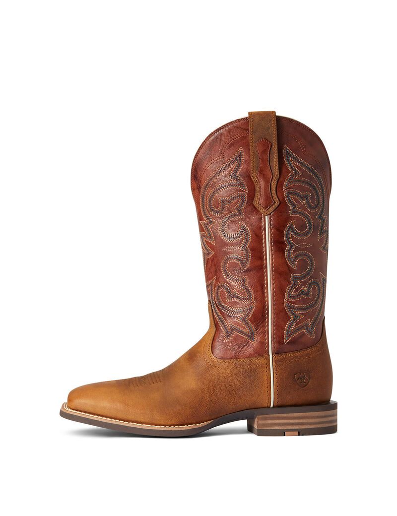 Botas Occidentales Ariat Everlite Go Getter Multicolor | LEY698045