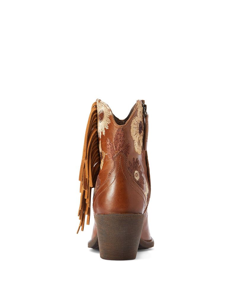 Botas Occidentales Ariat Florence Marrom | GYX984735