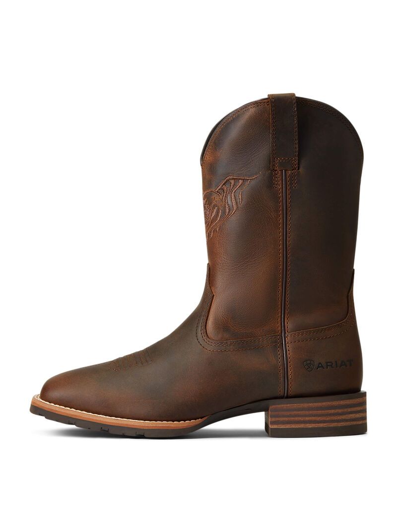 Botas Occidentales Ariat Híbrido Fly High Marrom | TUO780465