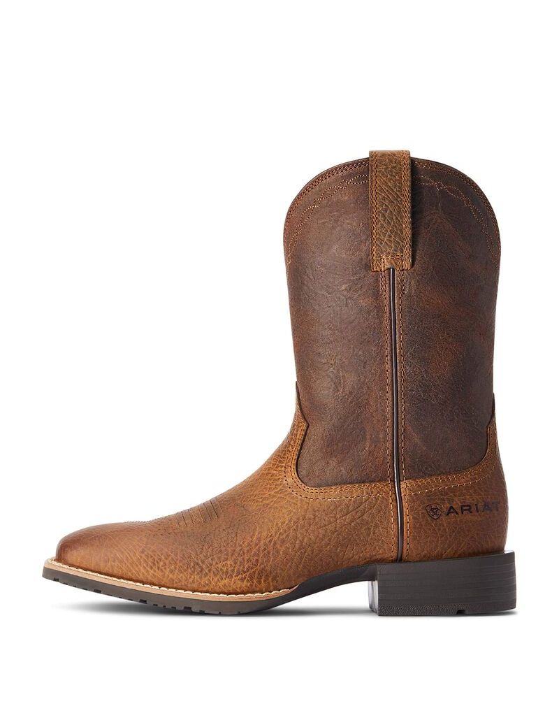 Botas Occidentales Ariat Híbrido Grit Multicolor | KPJ540278