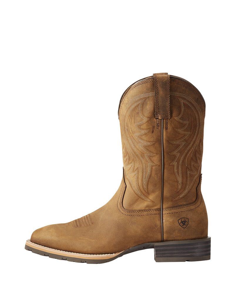 Botas Occidentales Ariat Híbrido Rancher Marrom | NZC283105