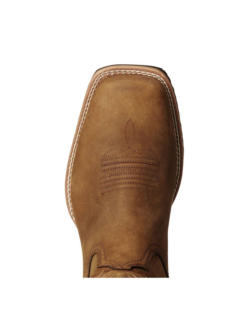 Botas Occidentales Ariat Híbrido Rancher Marrom | NZC283105