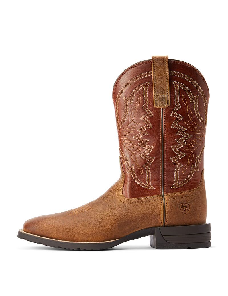 Botas Occidentales Ariat Híbrido Ranchwork Multicolor | CZP769184