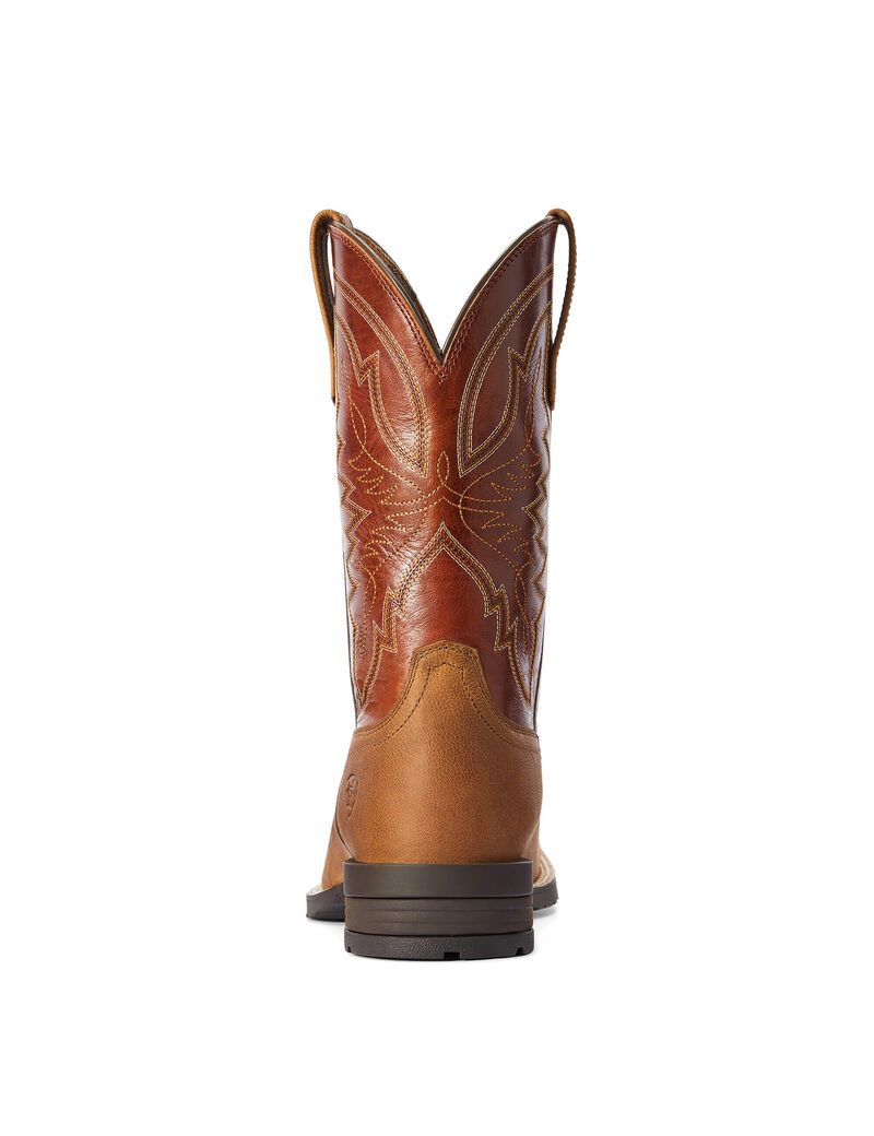 Botas Occidentales Ariat Híbrido Ranchwork Multicolor | CZP769184