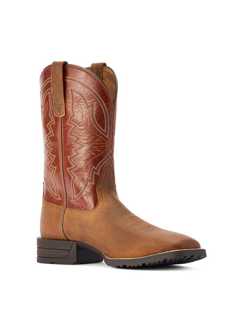 Botas Occidentales Ariat Híbrido Ranchwork Multicolor | CZP769184