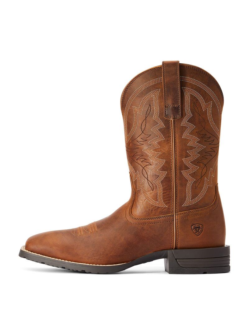 Botas Occidentales Ariat Híbrido Ranchwork Marrom | YST712605