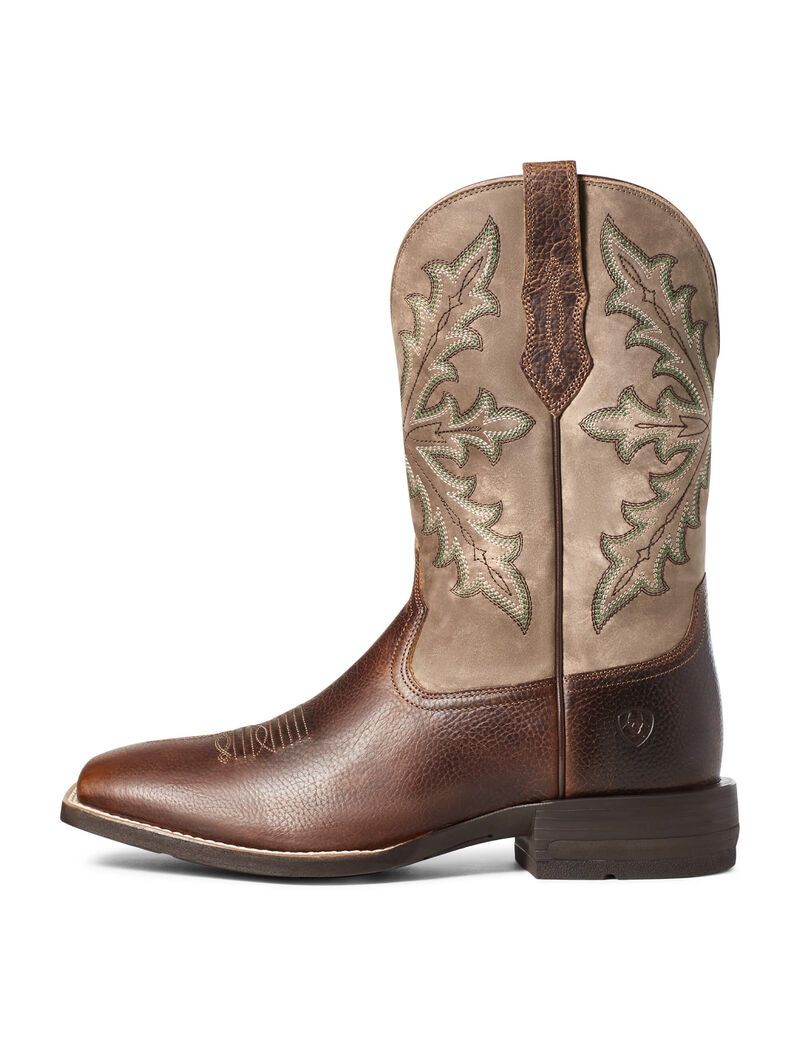 Botas Occidentales Ariat Qualifier Marrom | VPG874635