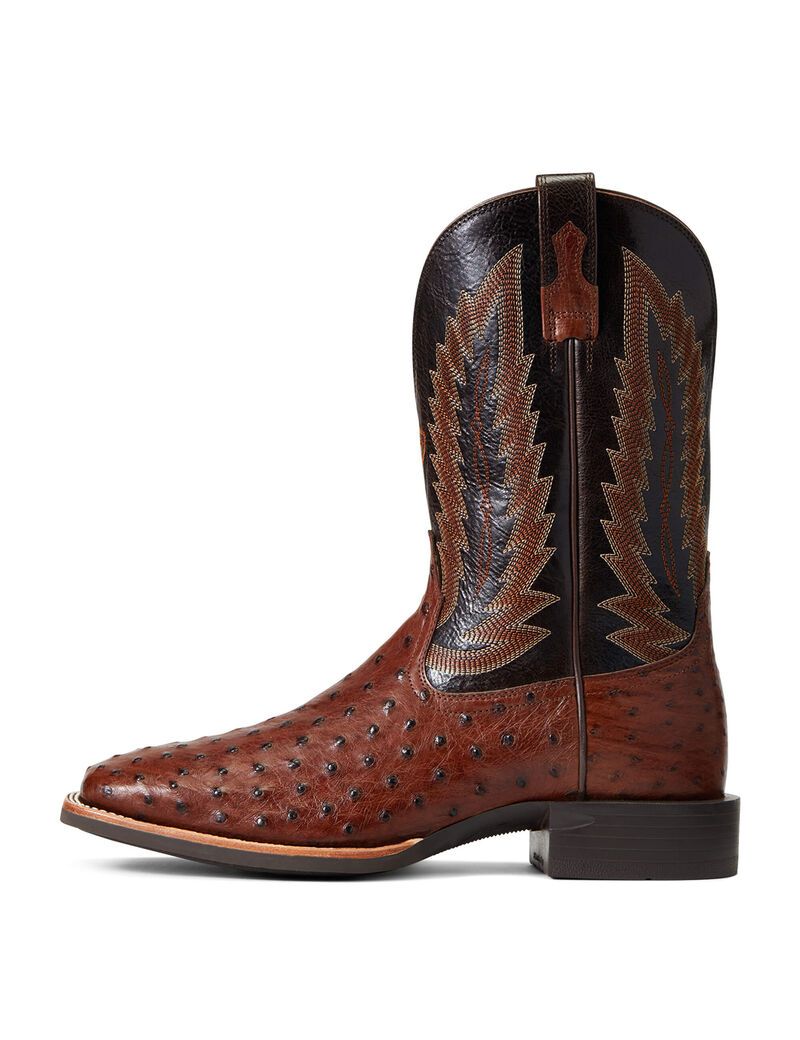 Botas Occidentales Ariat Quantum Primo Multicolor | FEC689402