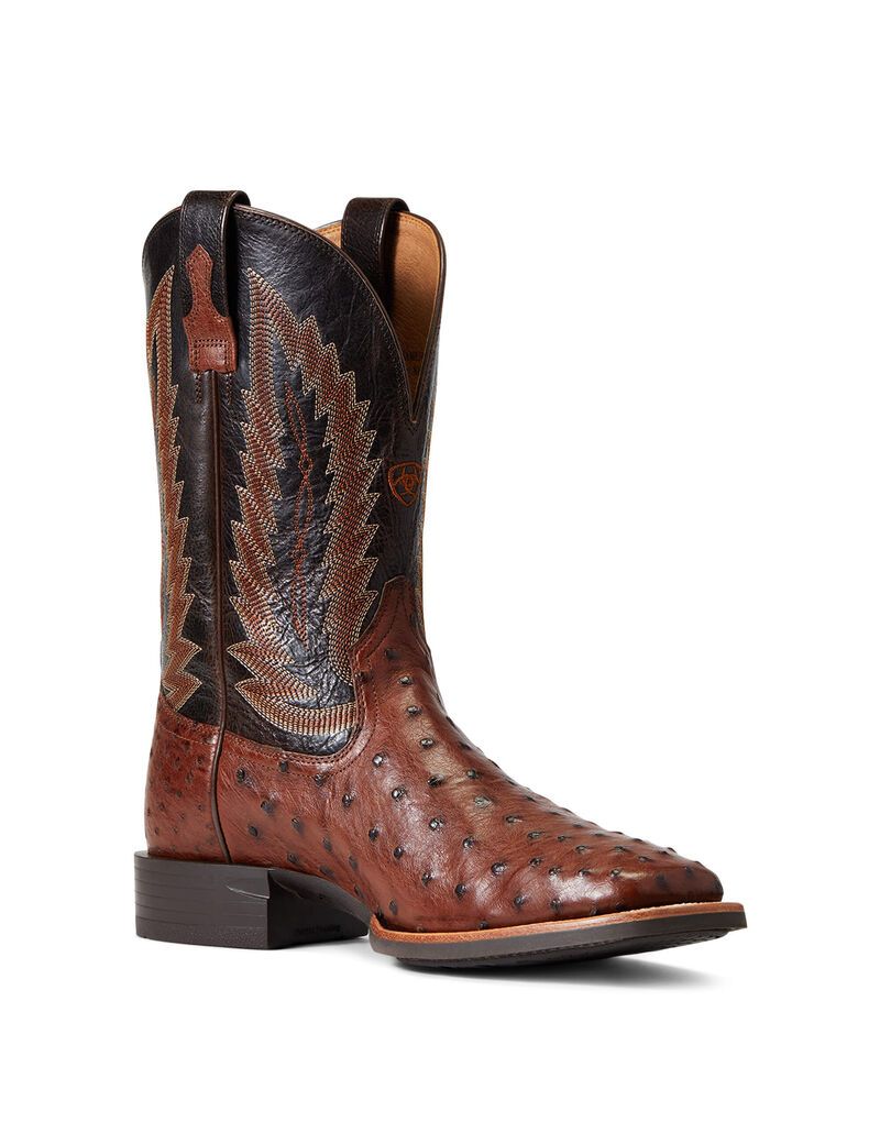 Botas Occidentales Ariat Quantum Primo Multicolor | FEC689402