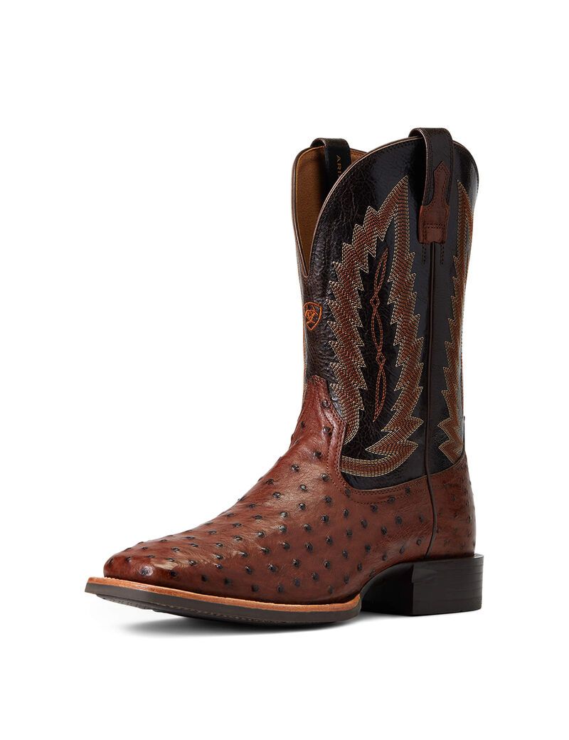 Botas Occidentales Ariat Quantum Primo Multicolor | FEC689402