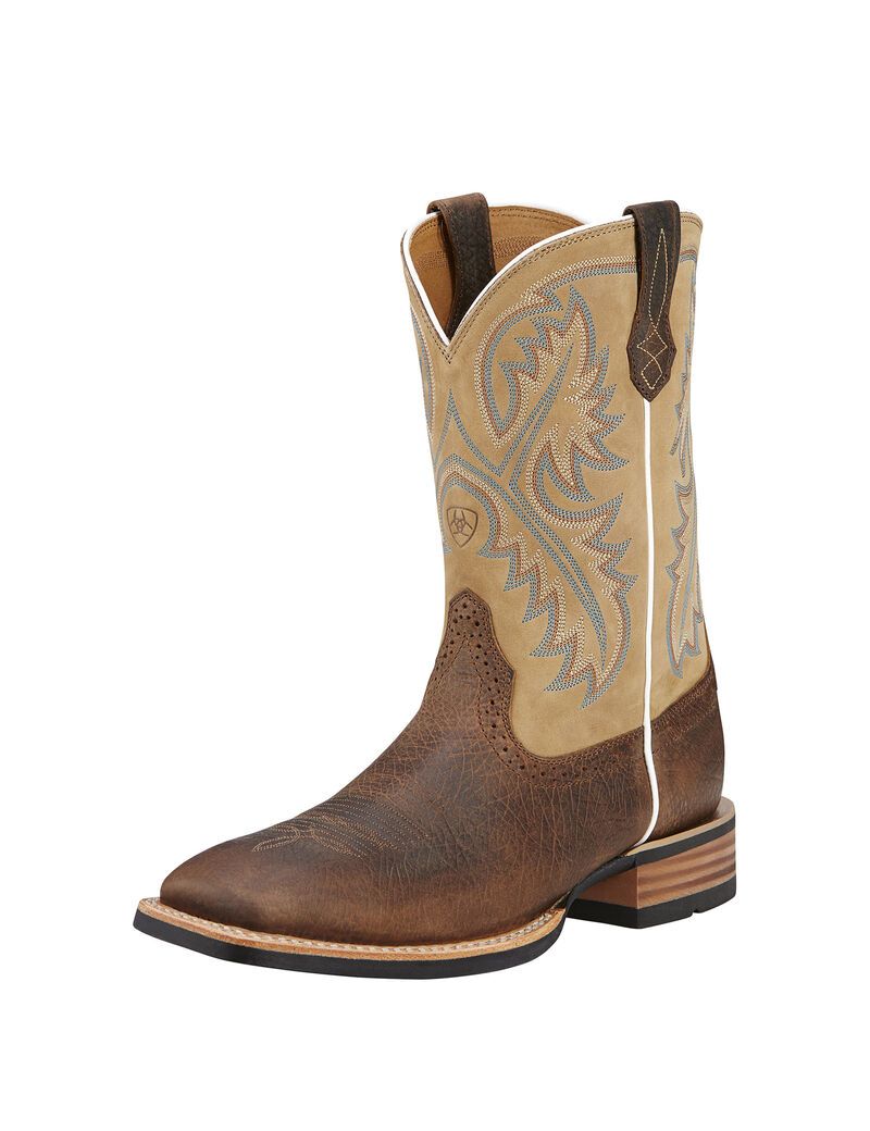 Botas Occidentales Ariat Quickdraw Multicolor | MUA476598