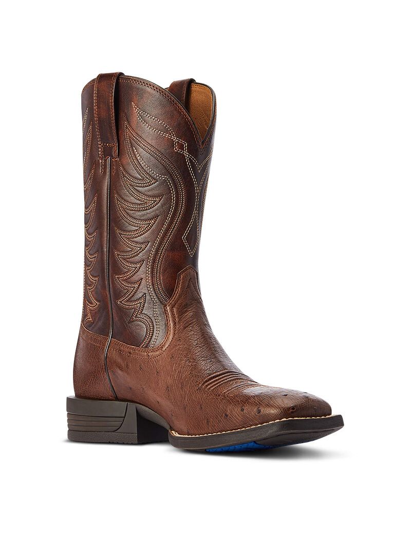 Botas Occidentales Ariat Reckoning Multicolor | OYS378510