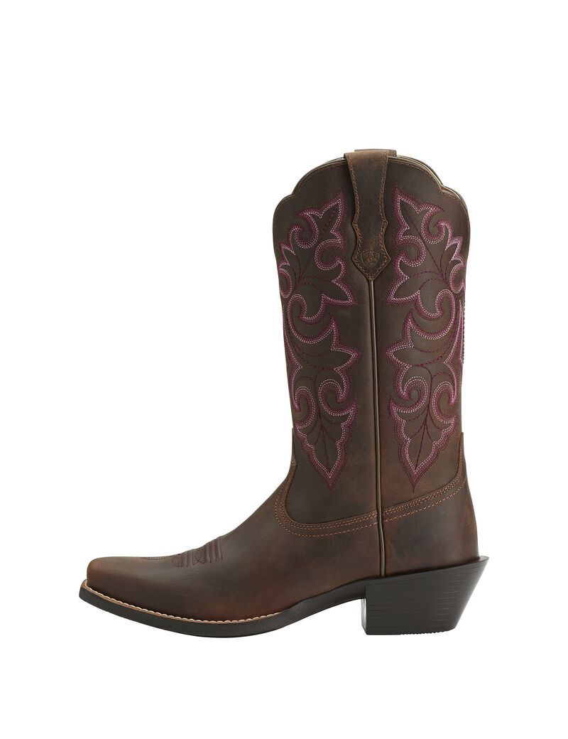 Botas Occidentales Ariat Round Up Square Puntera Marrom | YXA175209