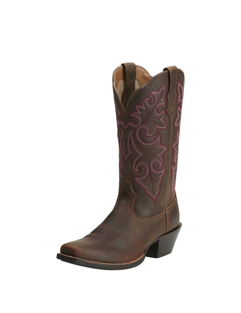 Botas Occidentales Ariat Round Up Square Puntera Marrom | YXA175209