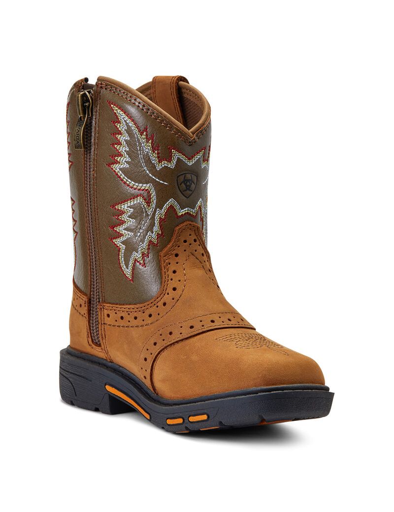 Botas Occidentales Ariat Stompers Durango Marrom | MRV471038