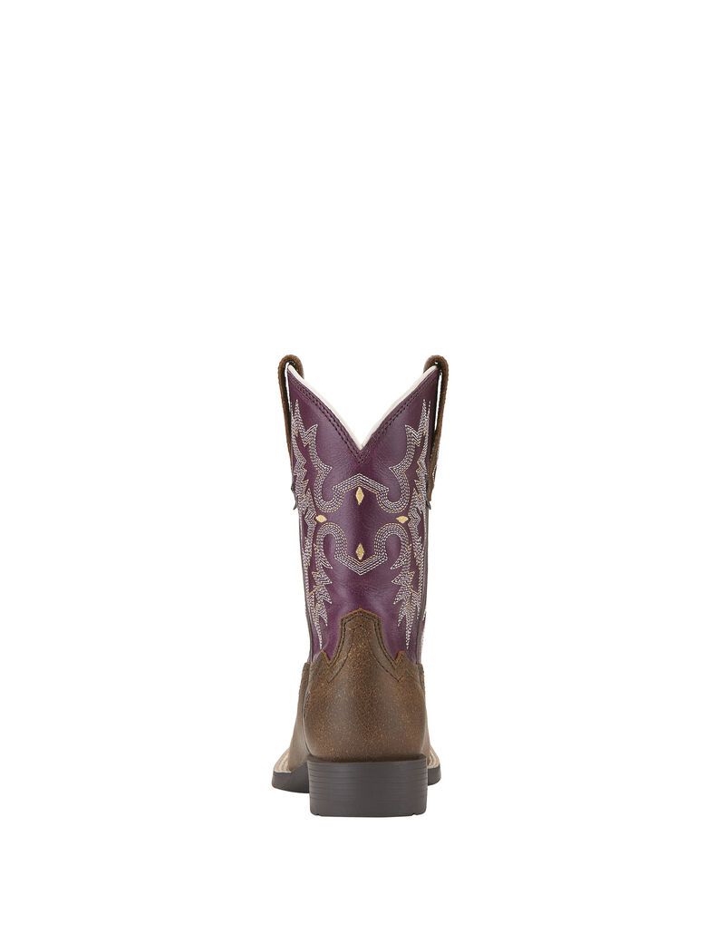 Botas Occidentales Ariat Tombstone Multicolor | LGE537461