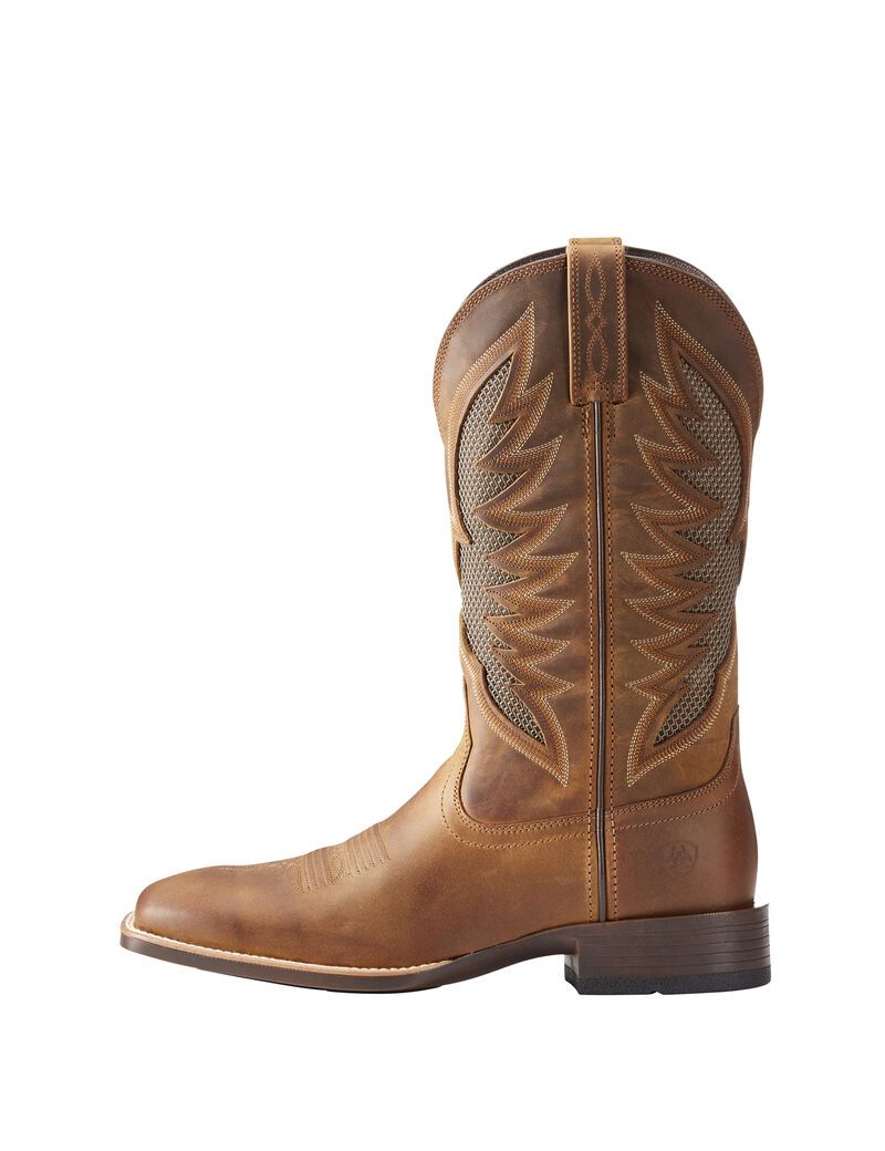 Botas Occidentales Ariat Venttek Ultra Marrom | UOS843256