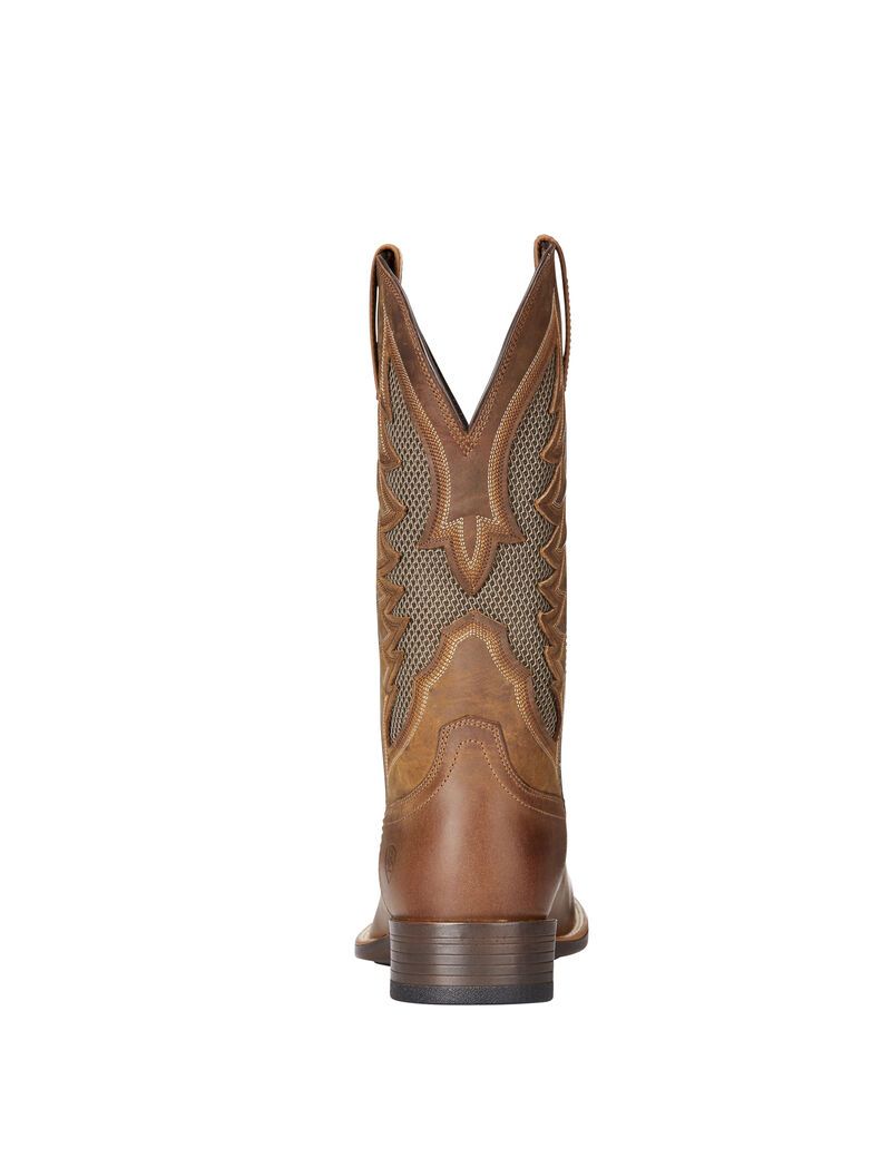 Botas Occidentales Ariat Venttek Ultra Marrom | UOS843256