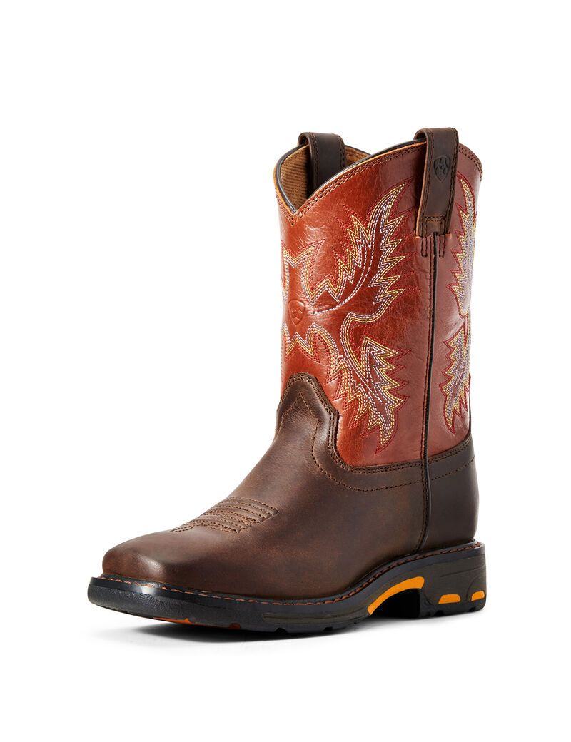 Botas Occidentales Ariat Workhog Anchos Square Puntera Multicolor | EKW421576