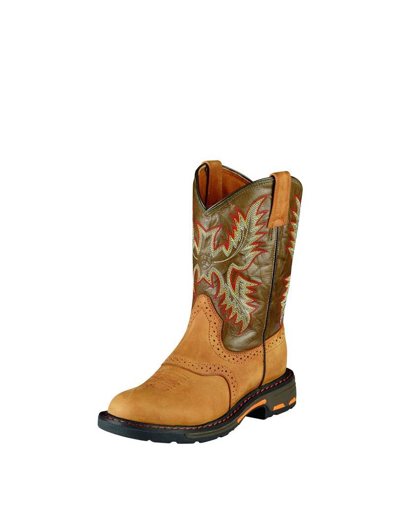 Botas Occidentales Ariat Workhog Pull On Multicolor | TWU450137