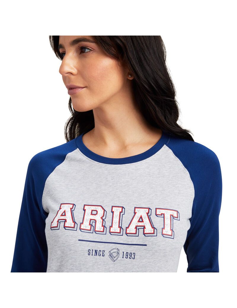 Camisas Ariat Varsity Azules Grises | CDV162540