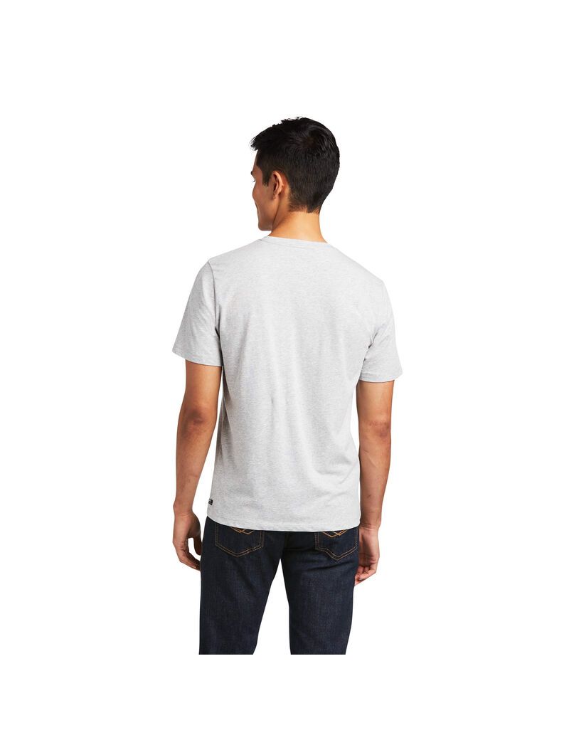 Camisas Ariat Vertical Logo Grises | LNM751460