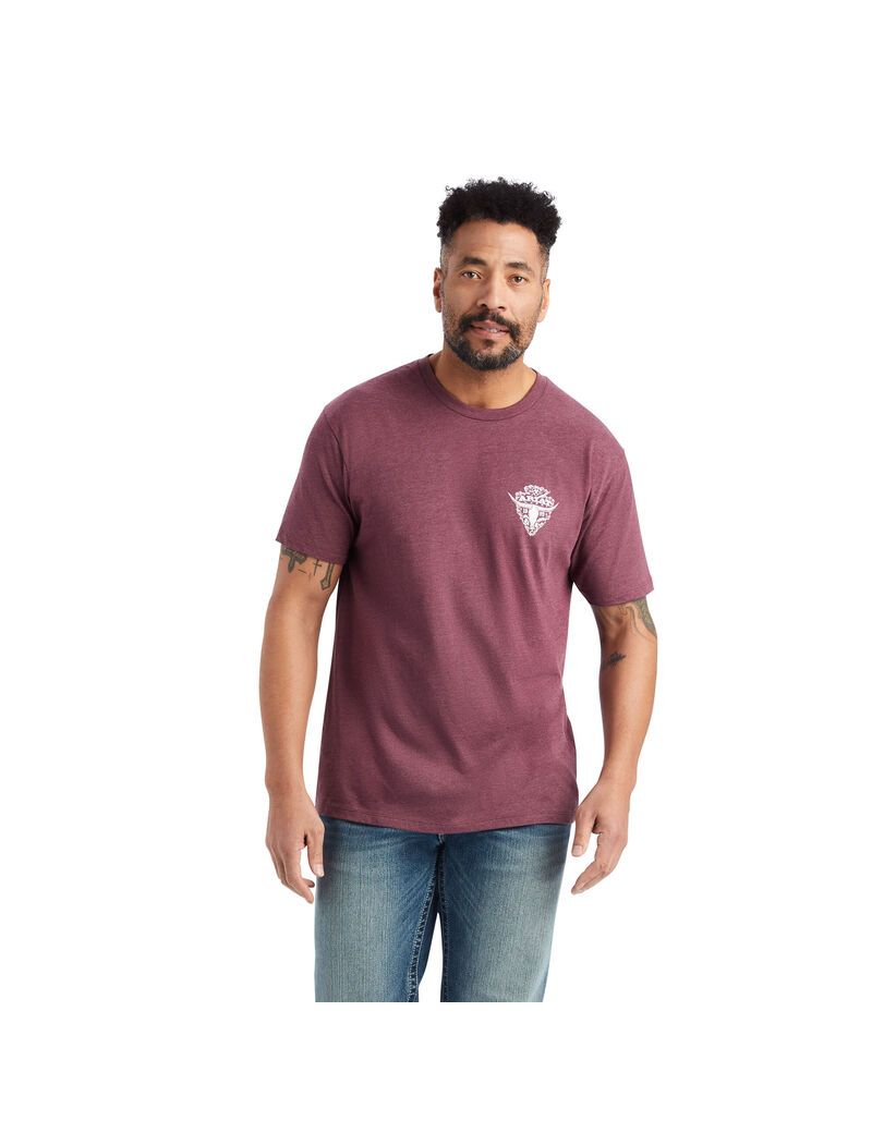 Camiseta Ariat Arrowhead 2.0 Vino | DEJ294730