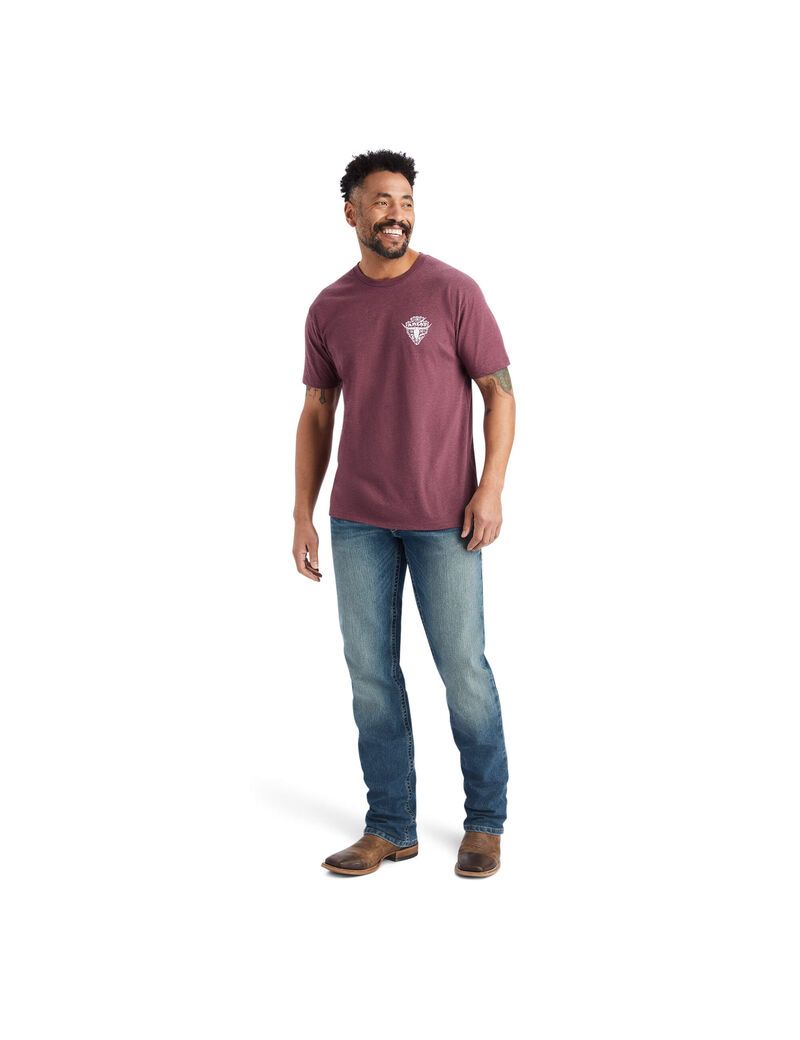 Camiseta Ariat Arrowhead 2.0 Vino | DEJ294730