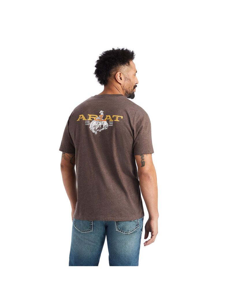 Camiseta Ariat Bronc Buster Marrom | EWD201597