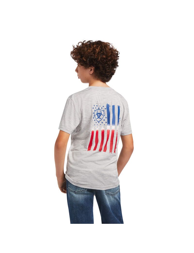 Camiseta Ariat Charger Patriotic Tee Grises | FMJ087163