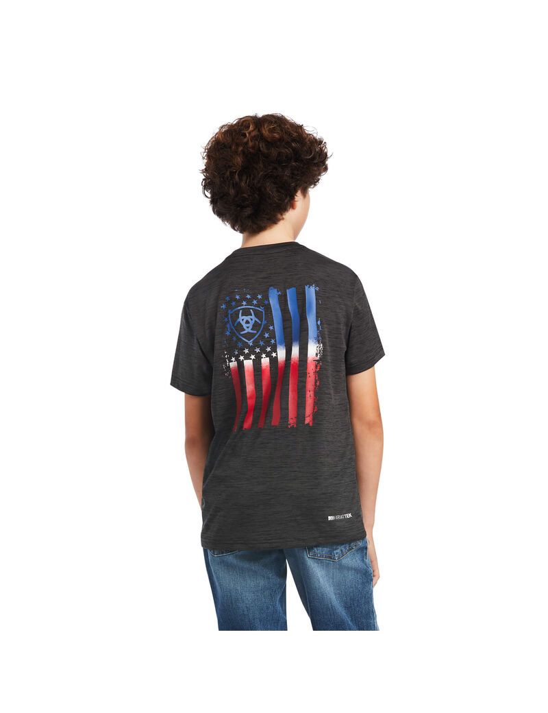 Camiseta Ariat Charger Patriotic Tee Grises | QNU168749