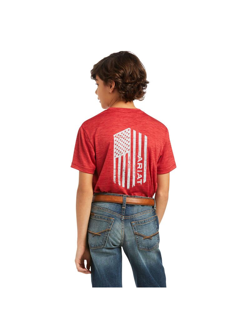 Camiseta Ariat Charger Vertical Flag Tee Multicolor | WEY985301