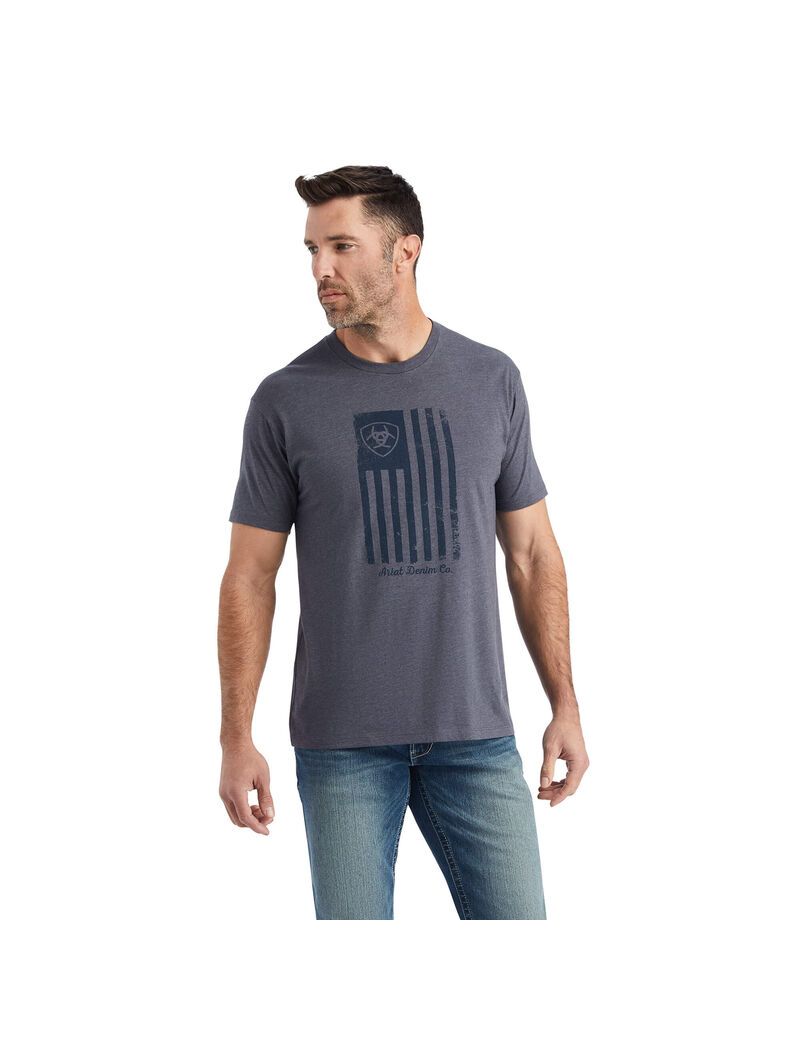 Camiseta Ariat Faded Titanium | GFQ704863