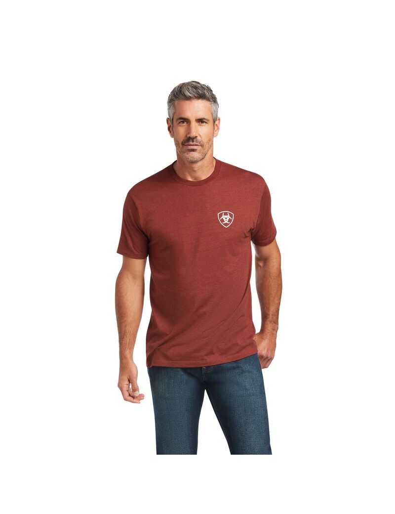 Camiseta Ariat Farm Rojos | CZJ263801