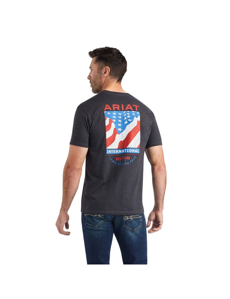 Camiseta Ariat Flag Flow Grises | HPK017862