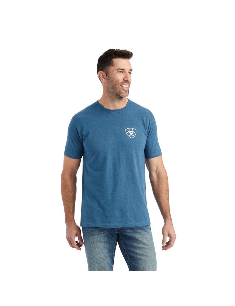 Camiseta Ariat Hexafill Grises Azules | QTK832179