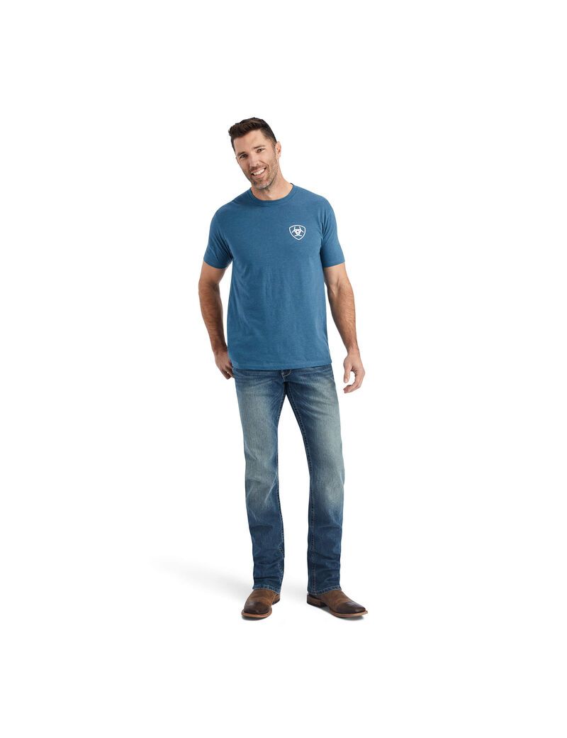 Camiseta Ariat Hexafill Grises Azules | QTK832179