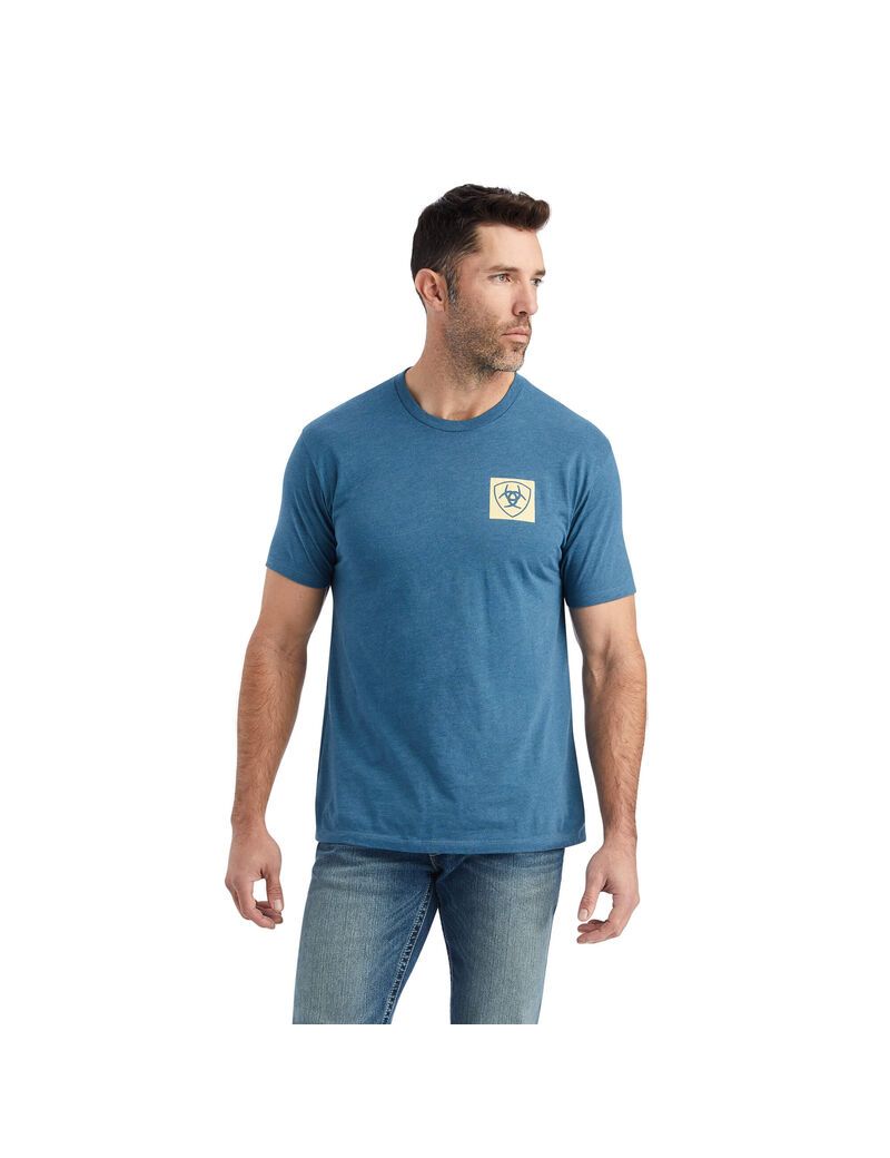 Camiseta Ariat Linear Octane Grises Azules | LQH428693