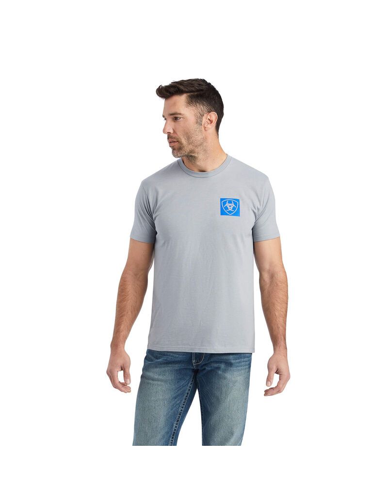 Camiseta Ariat Linear Octane Grises | NQX894501