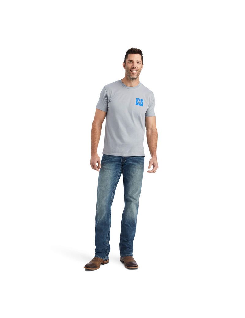 Camiseta Ariat Linear Octane Grises | NQX894501