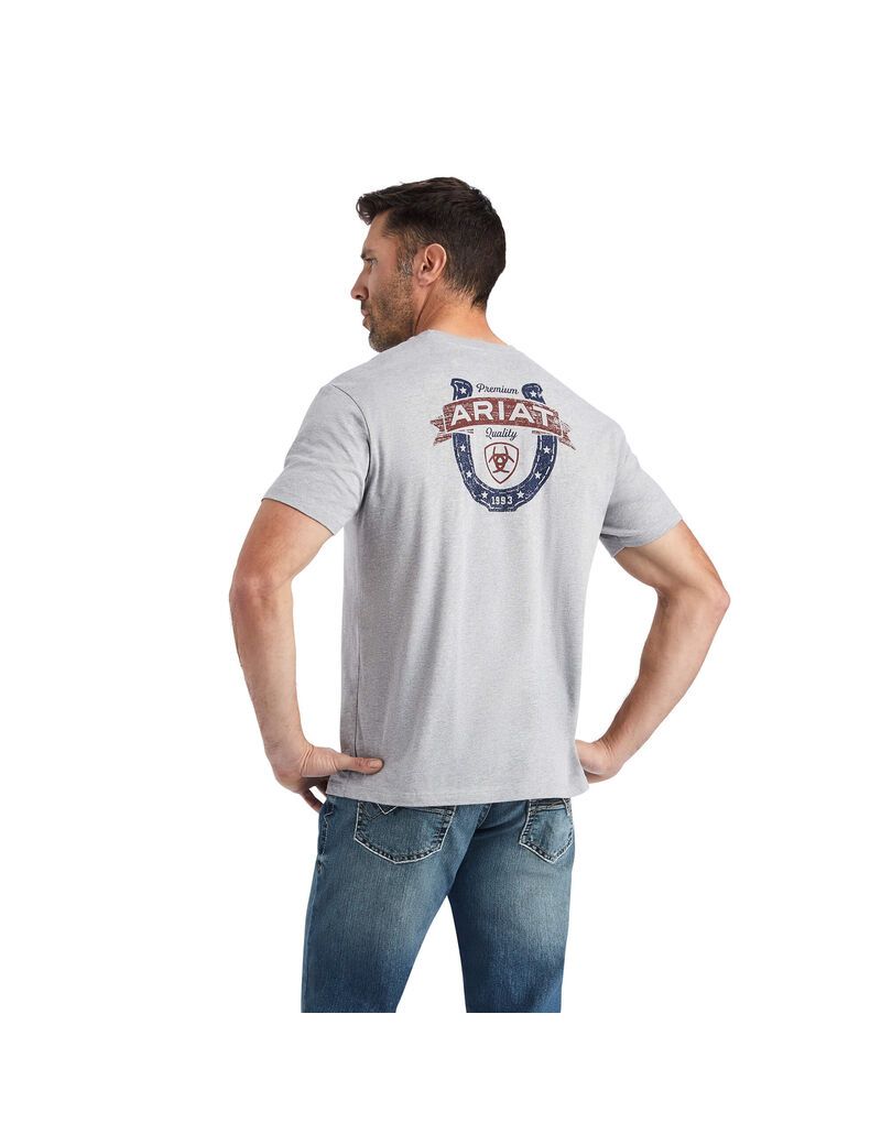 Camiseta Ariat Lucky Horseshoe Grises | NLS439157