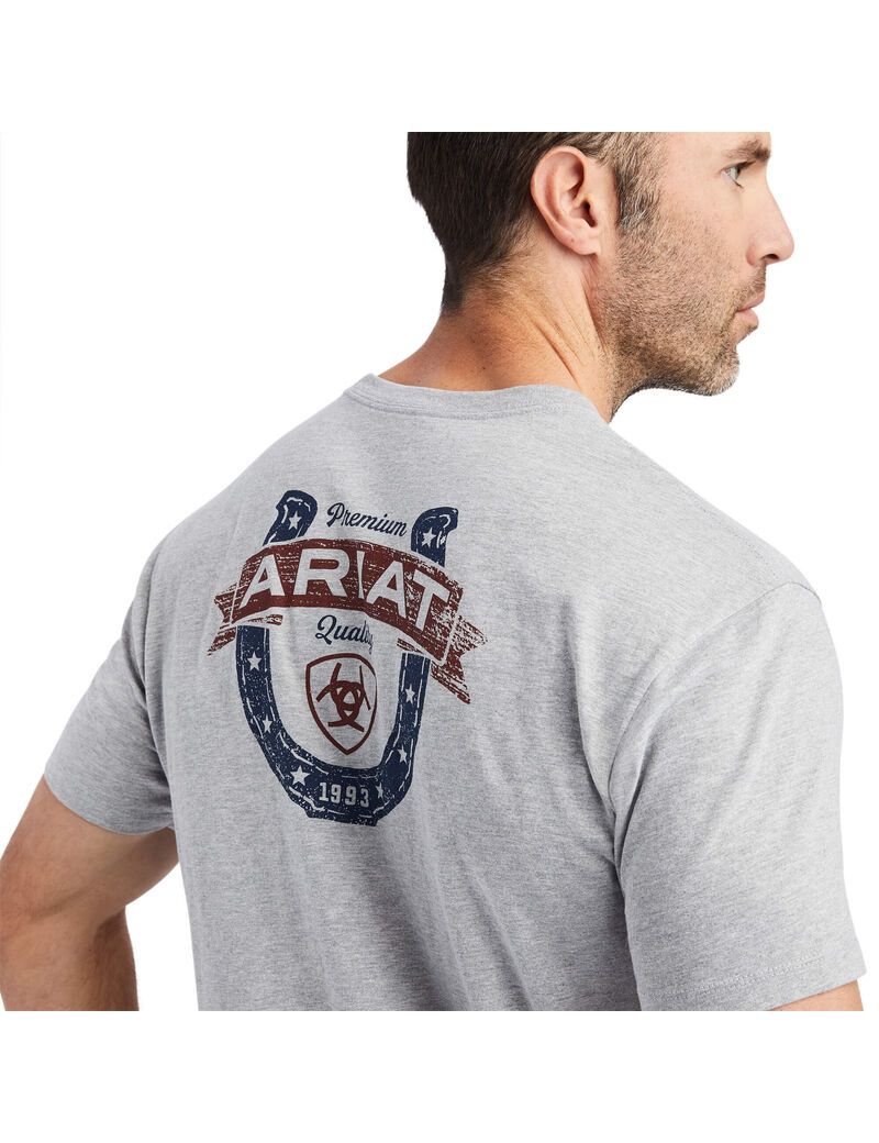 Camiseta Ariat Lucky Horseshoe Grises | NLS439157