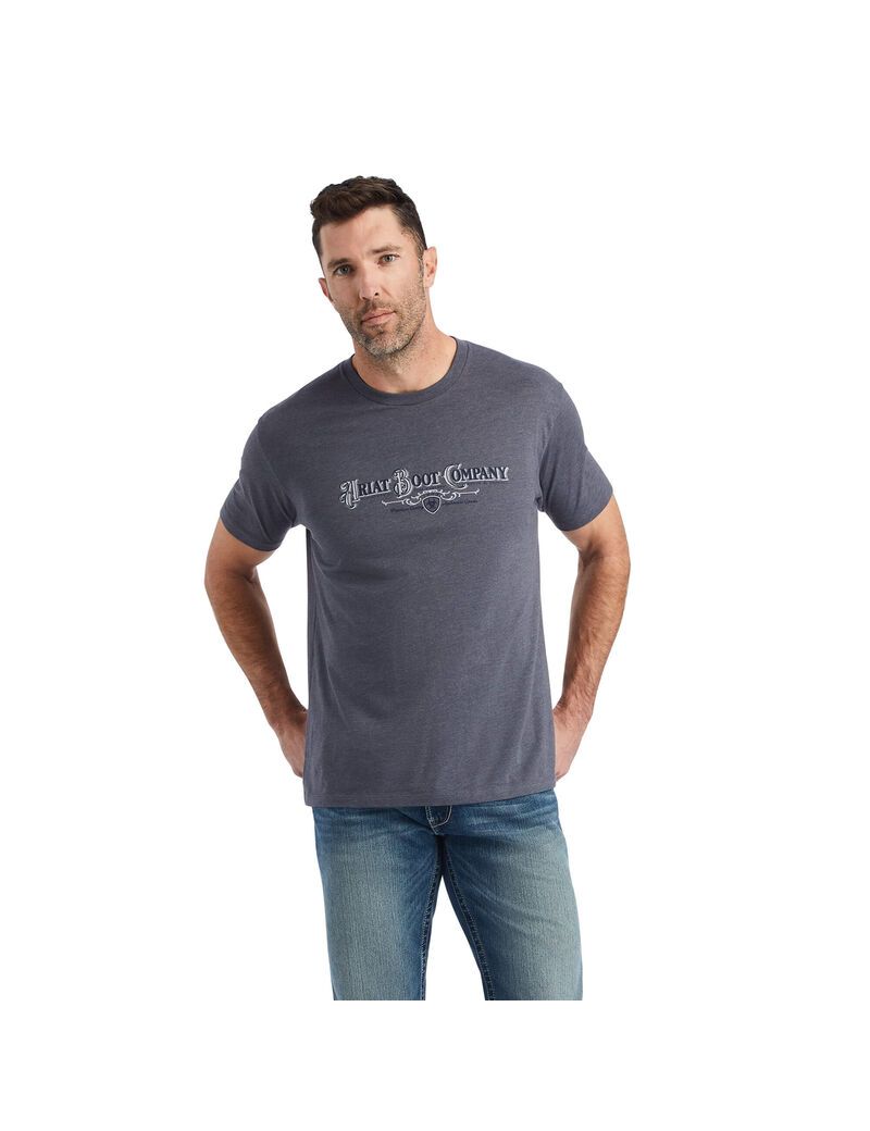 Camiseta Ariat Masthead Titanium | HKL650481