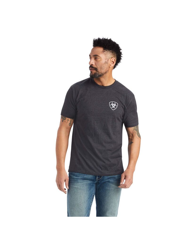 Camiseta Ariat Minimalist Grises | EVG983674